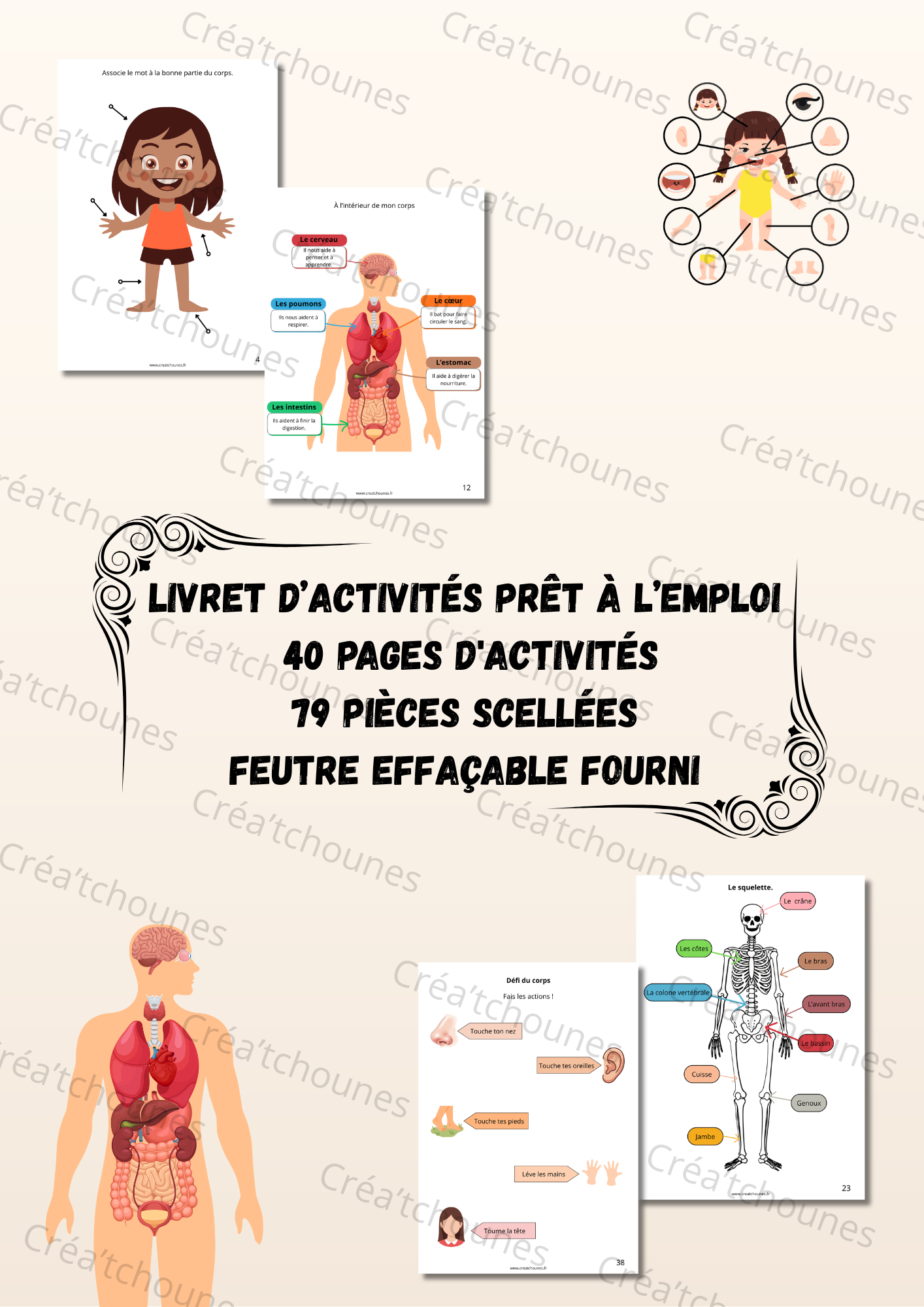 Livret d’activités: Le Corps Humain