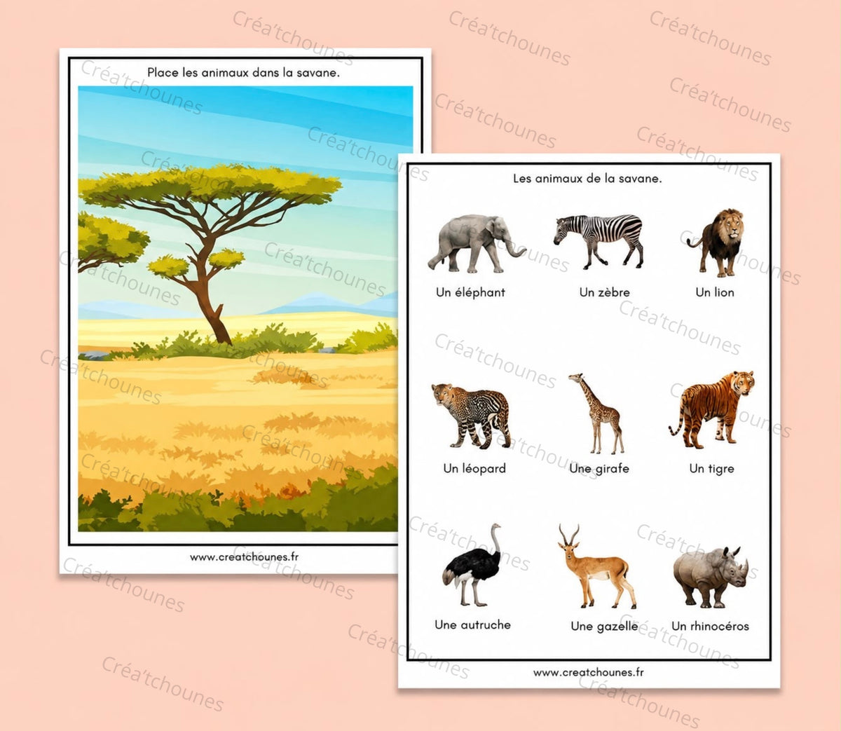 Livret d'activité: Thème Les Animaux.
